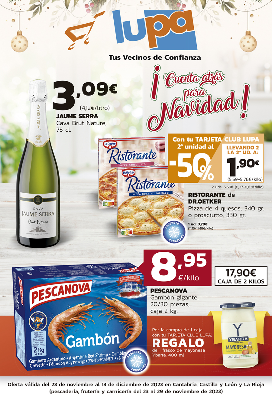 FOLLETO QUINCENAL