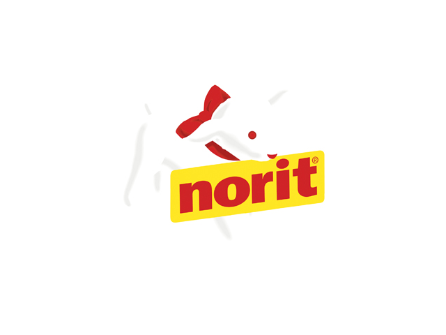 Norit